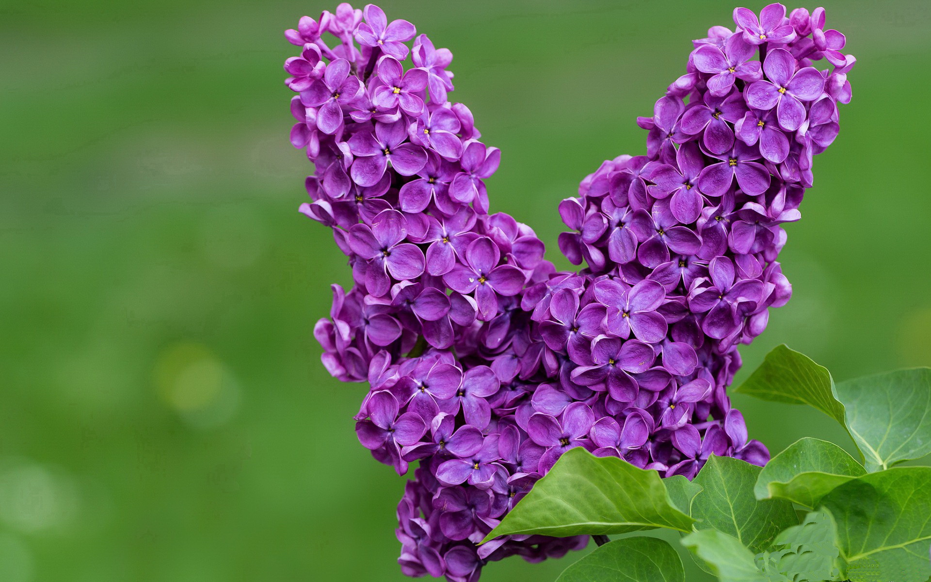 “走向“零误判”——多技术融合驱动裁判系统智能升级的行业前沿”