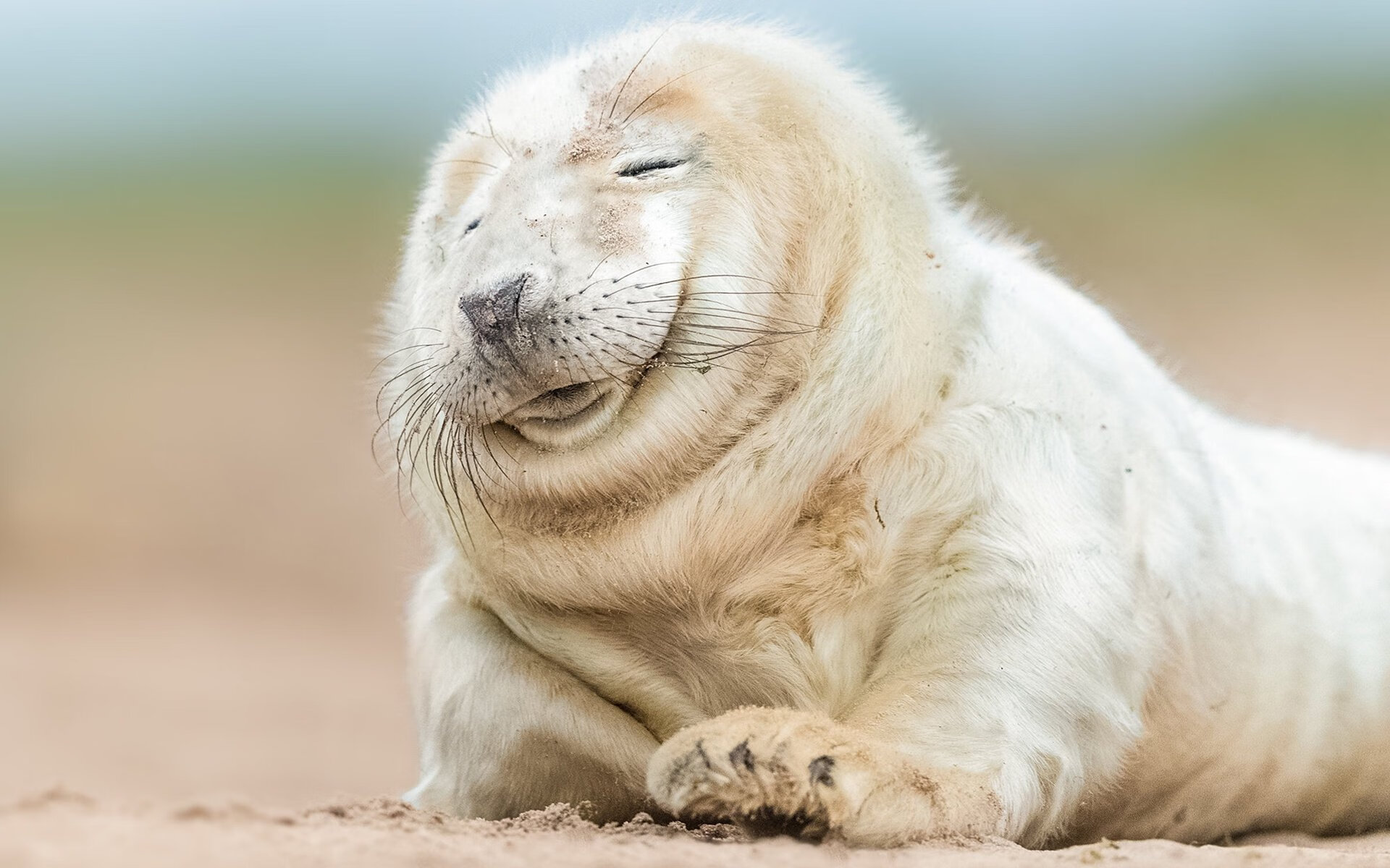 【犯规实例】著名犯规案例深度剖析，判罚背后隐藏的战术思考，犯规种类有哪些