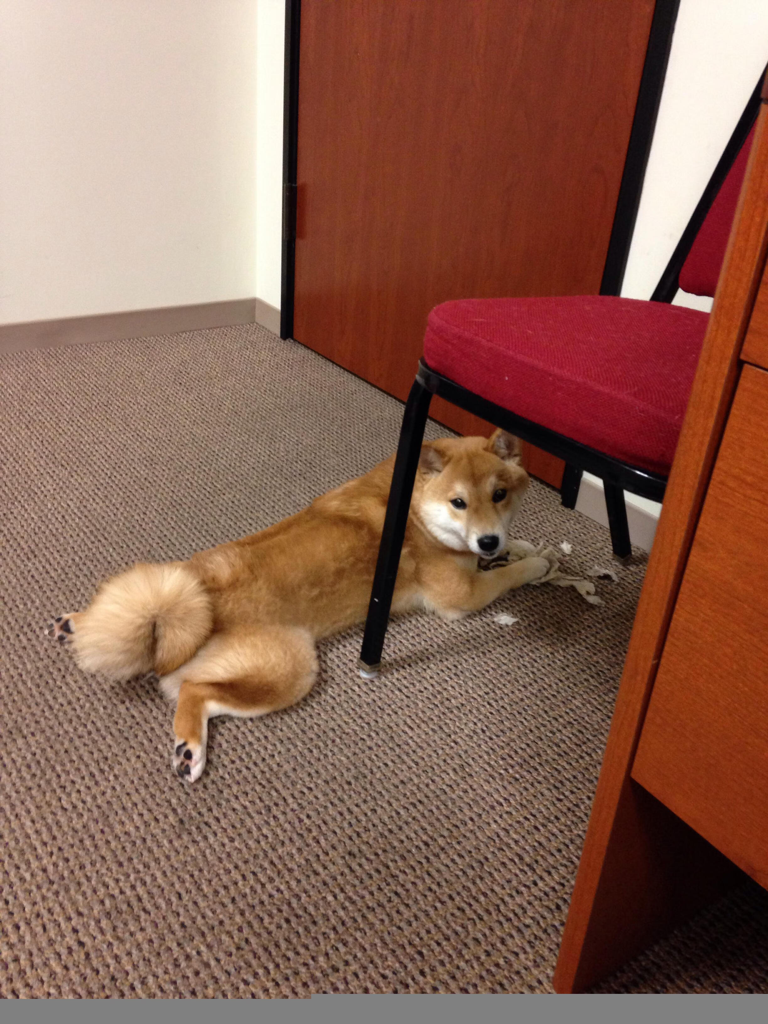 战术智库：各种战术体系详解，战术分为