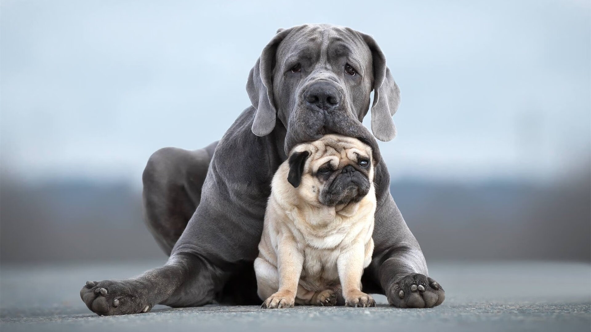 电子竞技的心理学研究:选手压力与情绪管理,电子竞技心理学的意义
