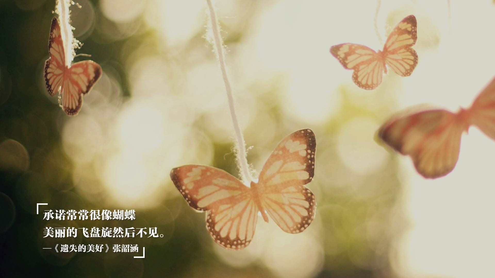 纪录之路:运动员持续刷新个人和联盟纪录,运动员破纪录