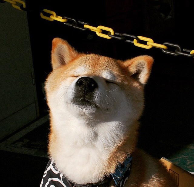 JIU YOU GAME-赛场“美丽战役”：那些令人陶醉的欧洲足球瞬间，欧洲足球盛宴