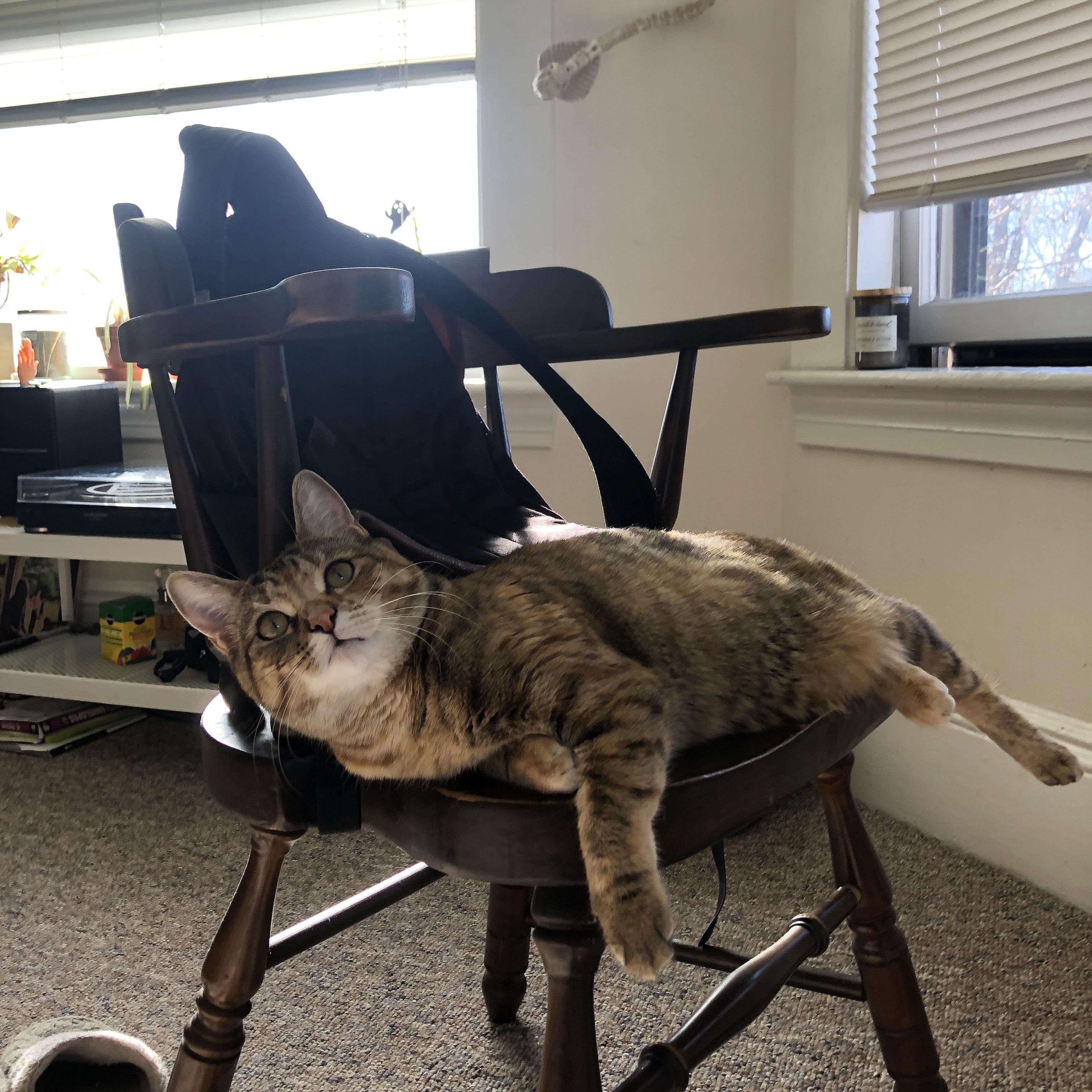 LPL联赛视频回放平台升级,lpl全程回放