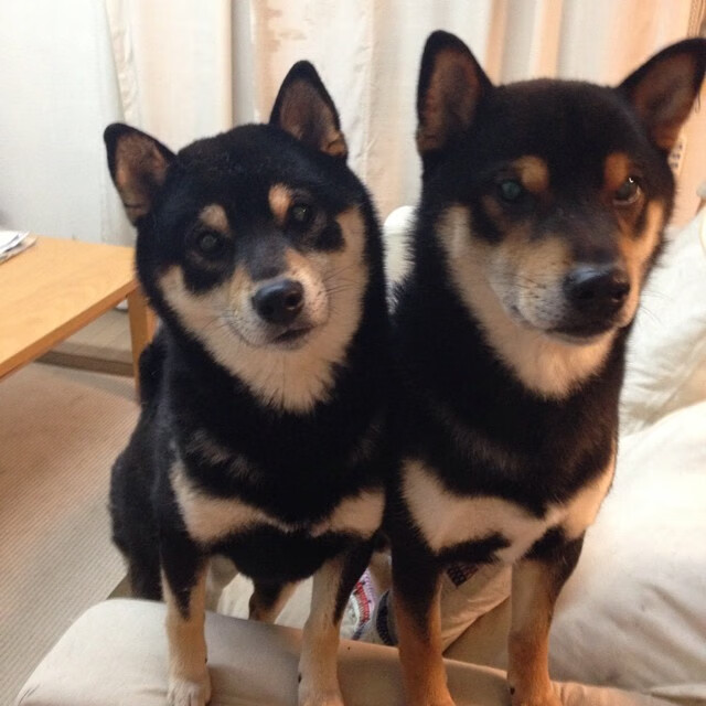 女足世界杯热身赛拉开帷幕,足球女足世界杯