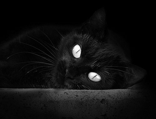 九游下载安装-欧洲足球冠军联赛抽签结果出炉，球迷期待再战，欧洲足球冠军杯