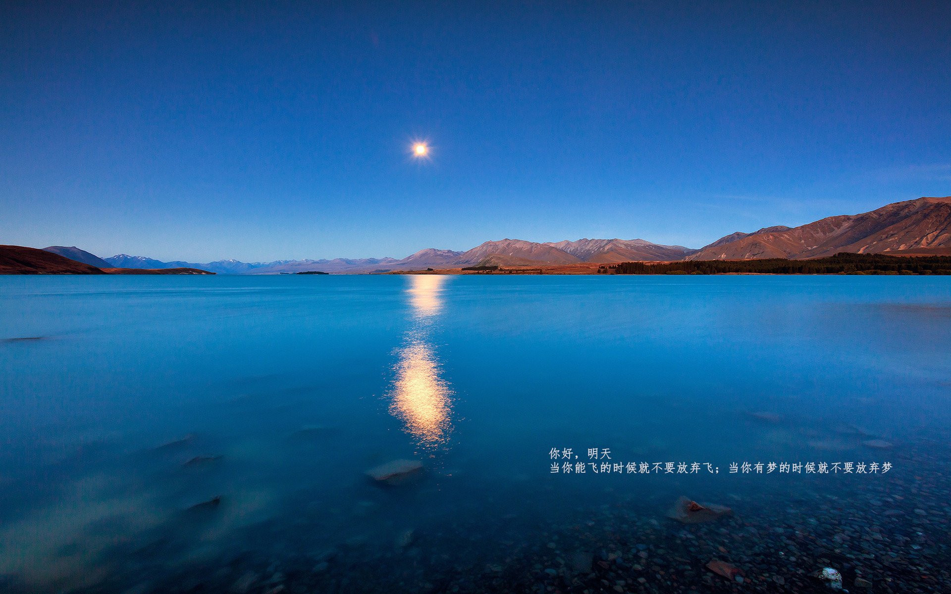 九游网页版入口-热血较量：浙江队实现连胜刷新记录