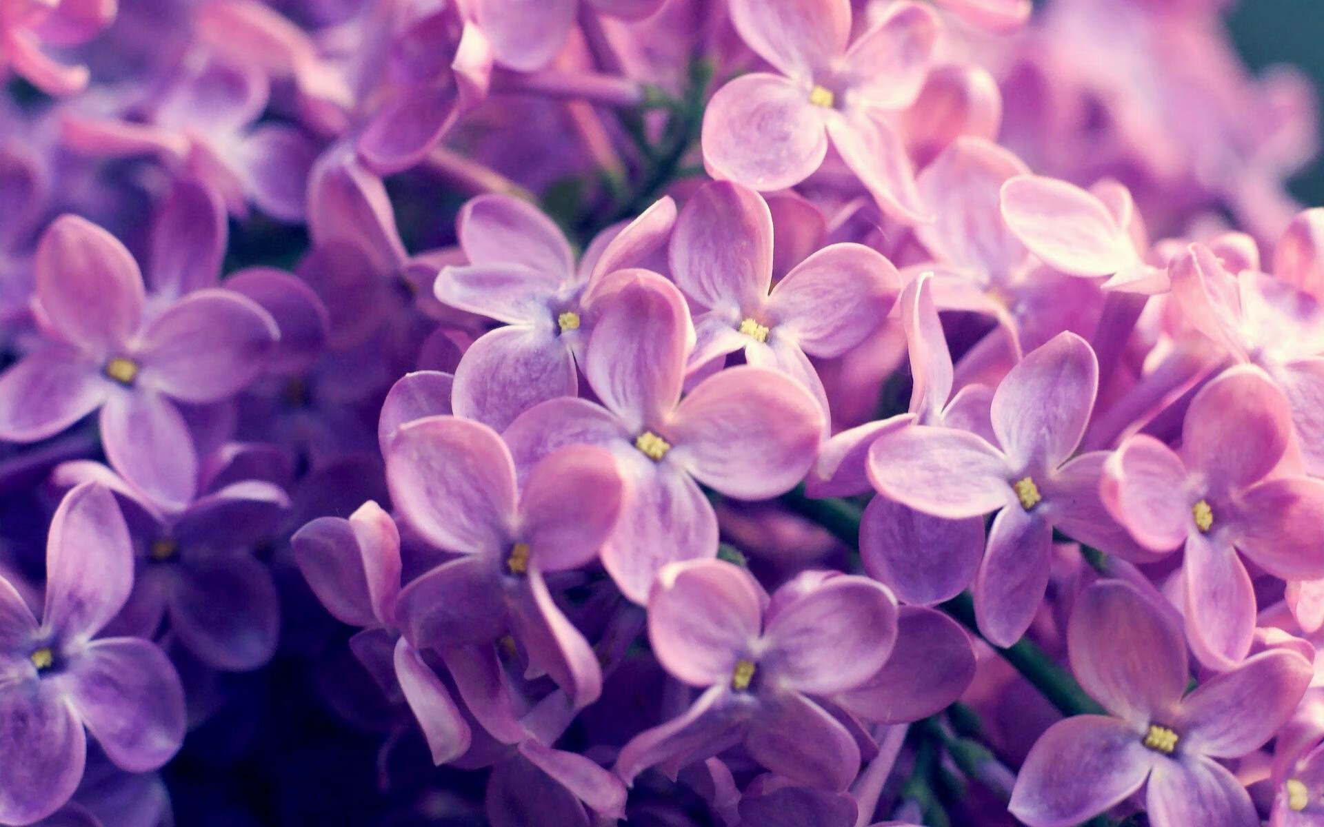 九游网游官网-职业球员心理压力管理是否专业化