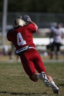 九游官网下载电脑版-德甲球队视频分析辅助防守站位调整的实证研究，德甲防守最好的球队