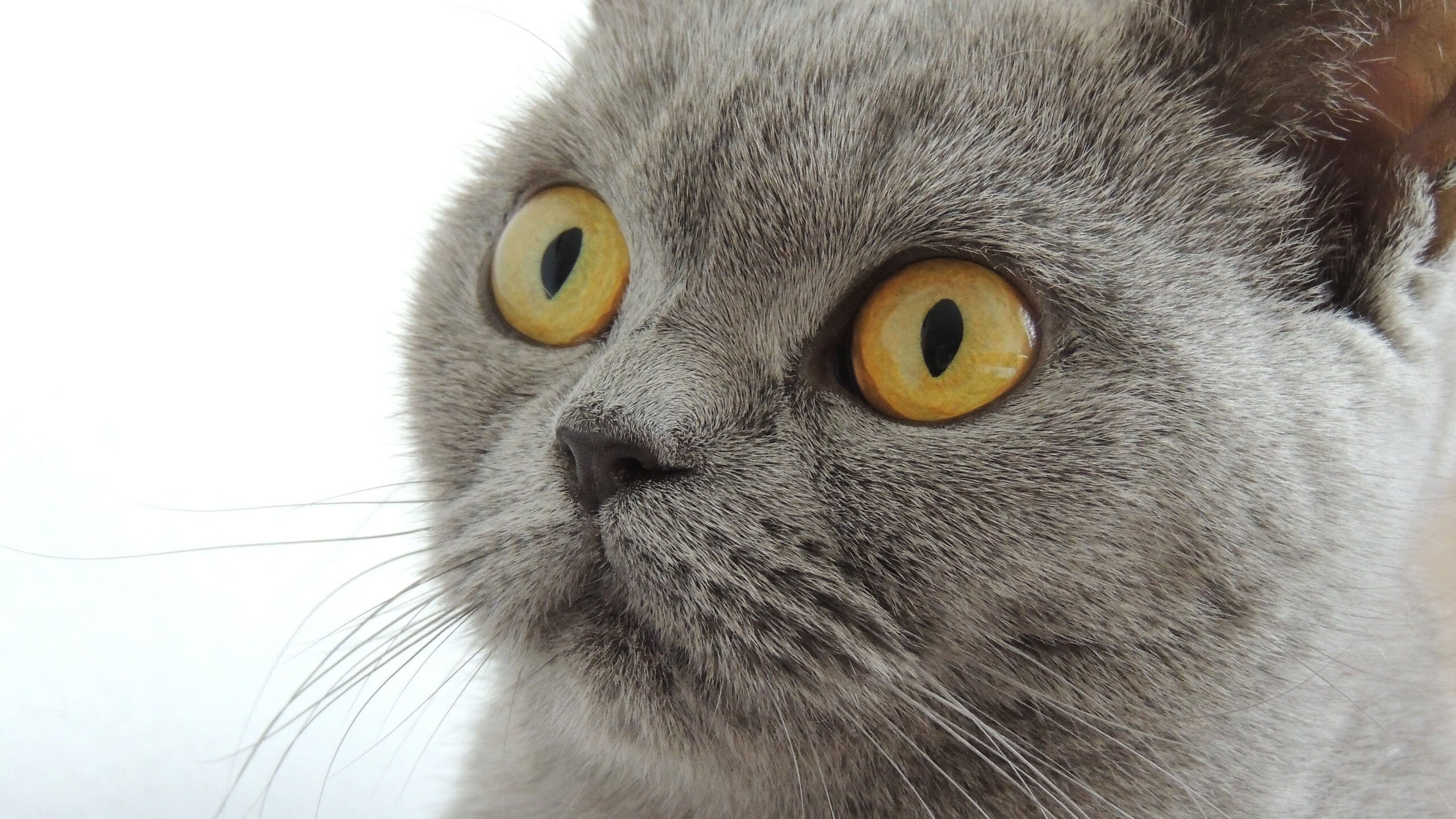 九游jiuyou-高校运动员营养与训练效果关系研究，运动营养学对当代大学生的影响