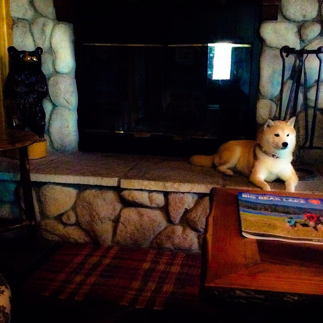 埃及队未来发展:借助国际赛事,提升选手抗压能力,埃及队怎么样