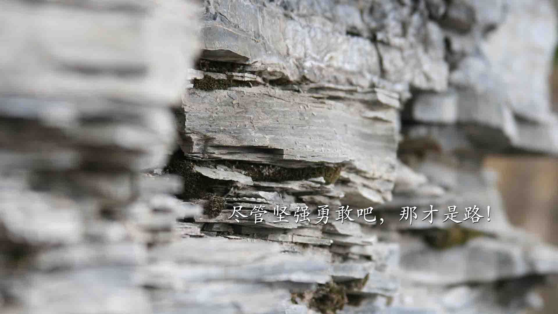 弗拉门戈高位围抢带动两球领先,弗拉门戈技巧