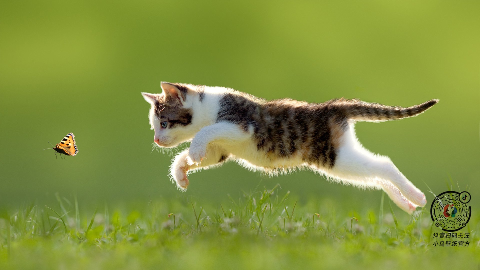 海湾者未来发展备受看好,潜力巨大,海湾技术