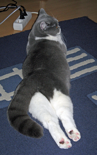 九游登录中心-庞蒂决赛冲刺展现爆发力，庞蒂克gxp