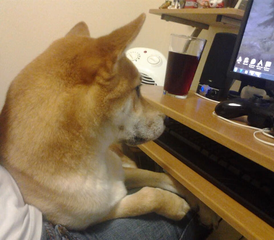 普劳德:节奏与反应决定胜负,普劳特假说